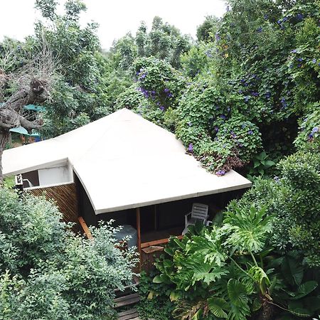 Mali Boutique Lodge & Tube 'N Axe Budget Accommodation Stormsrivier Kamer foto