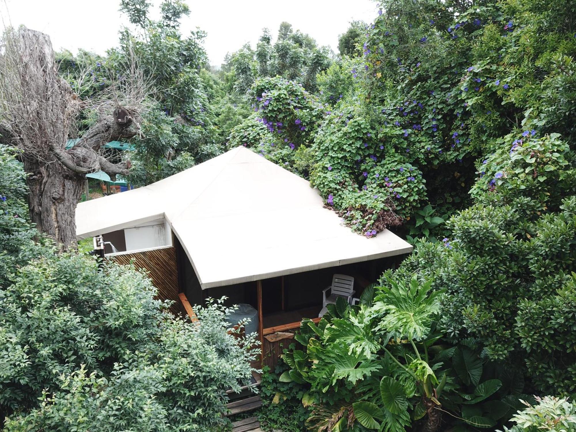 Mali Boutique Lodge & Tube 'N Axe Budget Accommodation Stormsrivier Kamer foto