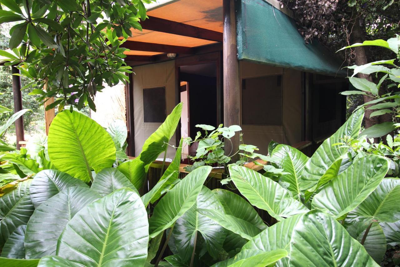 Mali Boutique Lodge & Tube 'N Axe Budget Accommodation Stormsrivier Buitenkant foto